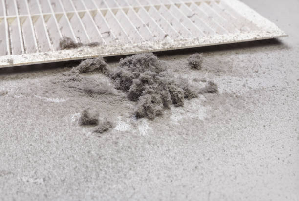 Best HVAC System Cleaning  in Edburgh, IN